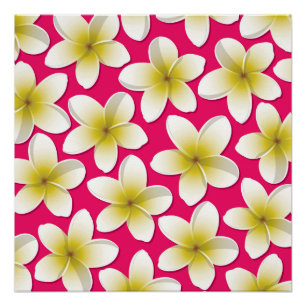 Pôster Flores Brilhantes Frangipani/ Plumeria