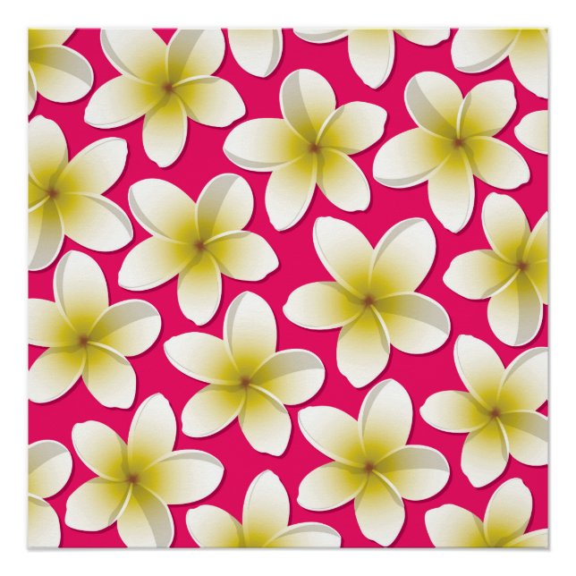 Pôster Flores Brilhantes Frangipani/ Plumeria (Frente)