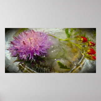 Poster Flores Congeladas,