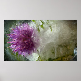 Poster Flores Congeladas,