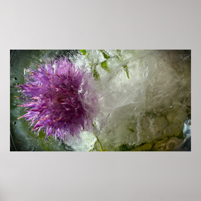 Poster Flores Congeladas,  (Frente)