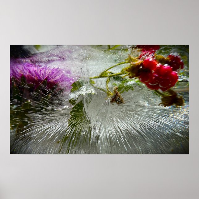 Poster Flores Congeladas,  (Frente)