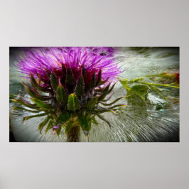 Poster Flores Congeladas,