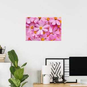 Poster Flores Cor-de-Rosa