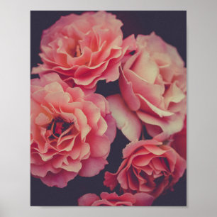 Poster Flores cor-de-rosa
