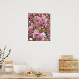 Poster Flores Cor-de-Rosa de Cerejeira