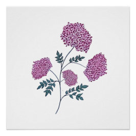 Pôster Flores Cor-de-Rosa Desenhadas à Mão, Botânica Eleg