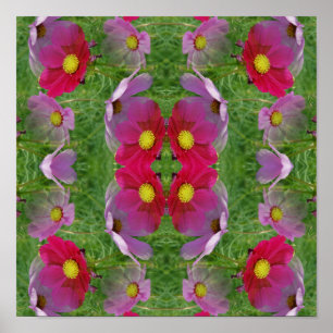 Poster Flores Cosmos Natureza Abstrata