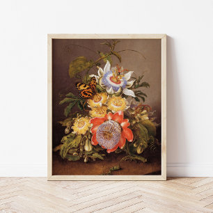 Poster Flores da paixão Ferdinand Bauer