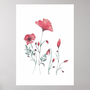 Poster Flores da papoila da Aquarela