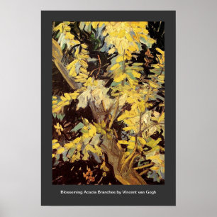 Poster Flores de Acacia Flagres Vincent van Gogh.