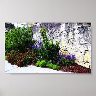 Poster Flores de Álamo