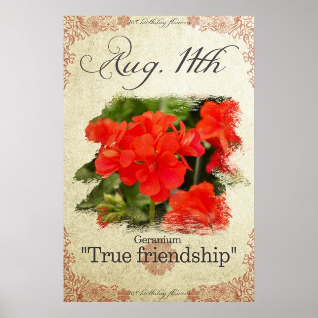 Poster Flores de aniversário no 11 de agosto "Geranium" (Frente)