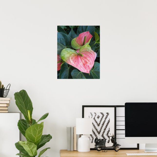 Poster Flores de Anthurium Rosa Fotográficas Florais (Escritório em casa)