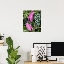 Poster Flores de Antúrio Rosa e Folhagem Exuberante