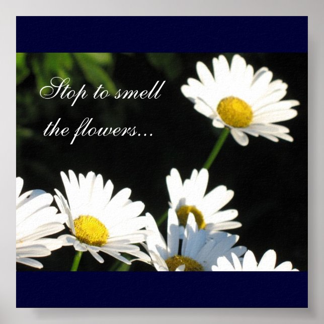 Pôster Flores de Arte Canvas (Frente)