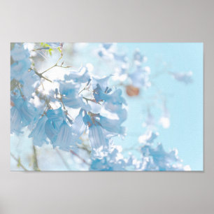 Poster Flores de Árvore Pastel Soft Blue Jacaranda