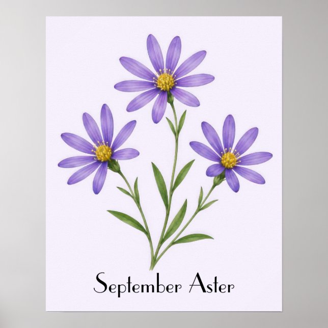 Poster Flores de Áster de Setembro (Frente)