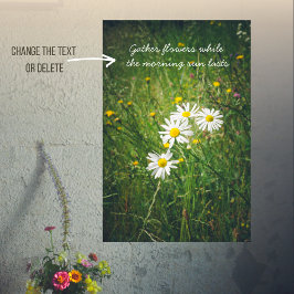 Poster Flores de camomila no campo verde de verão