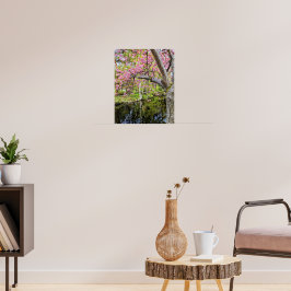 Poster Flores de Cerejeira Rosa ao Longo do Lago
