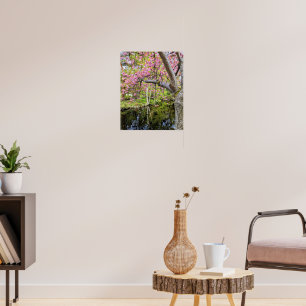 Poster Flores de Cerejeira Rosa ao Longo do Lago