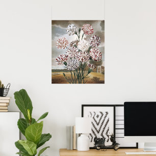 Pôster Flores de Cravos Variegados Vintage com Céu Cinza