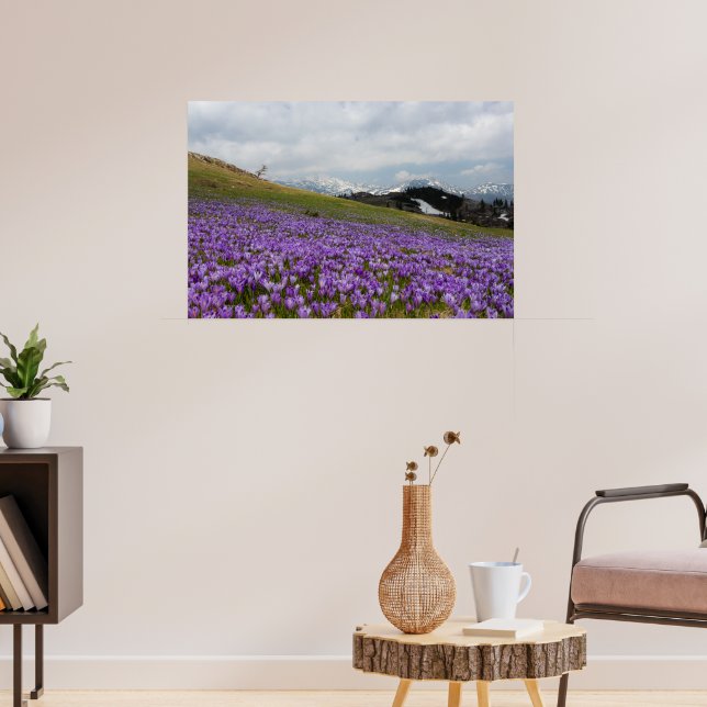 Poster Flores de croco em Velika Planina, Eslovênia (Sala de Estar 3)