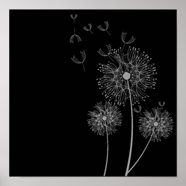 Pôster Flores de Dandelion, artes negras e brancas (Frente)