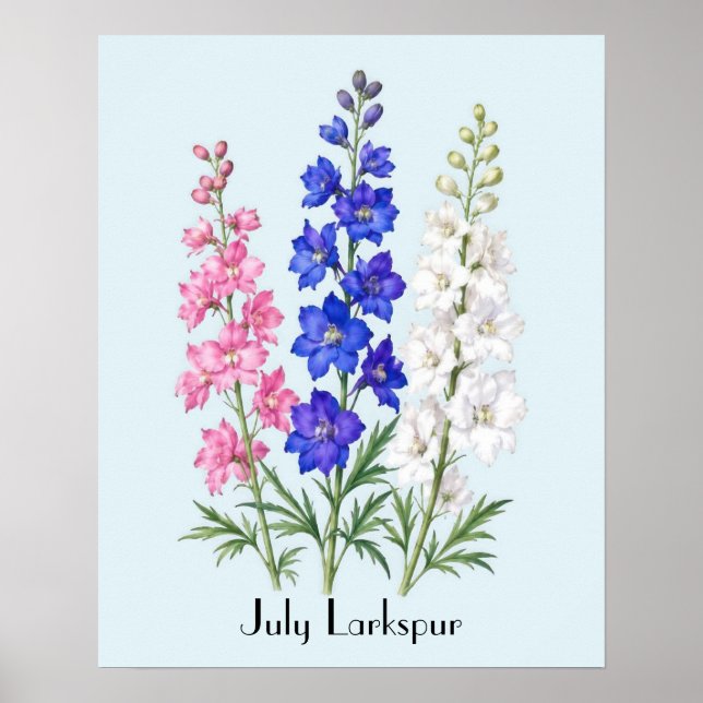 Poster Flores de Delphinium de Julho (Frente)