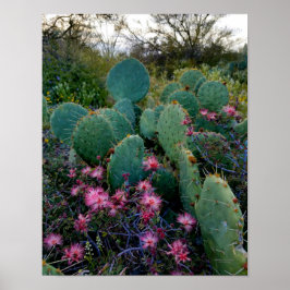 Poster Flores De Derramamento Rosa E Cactus De Ervilha