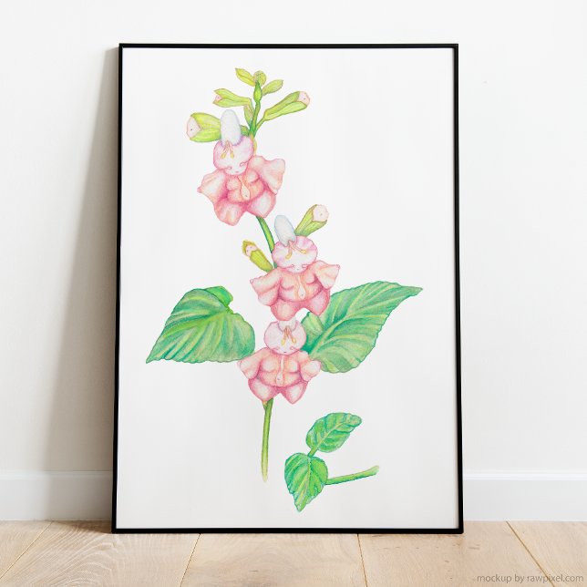 Poster Flores de Fantasia Rosa Quimérica Flores de Água (magical watercolor illustration featuring three darling pink flower beings on a vibrant green stem)