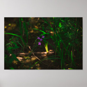 Poster Flores de Florestas de Água Roxo Selvagens Fern