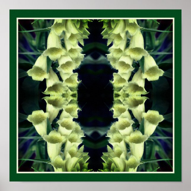 Poster Flores de Foxglove Creamy Abstrato (Frente)