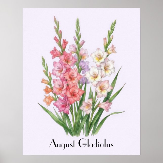 Poster Flores de Gladíolo de Agosto (Frente)