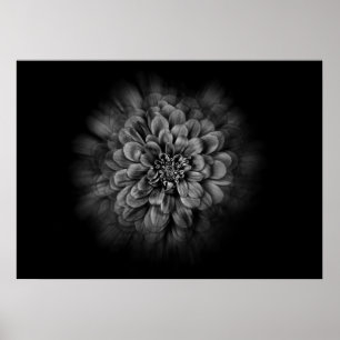 Poster Flores de Jardim em Preto e Branco Nº 54 Flow
