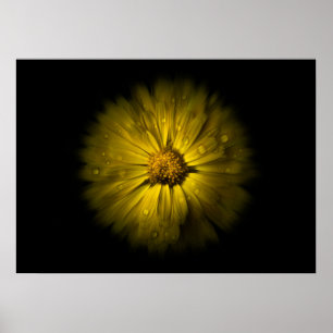 Poster Flores de Jardim Nº 10 Versão Color Flow