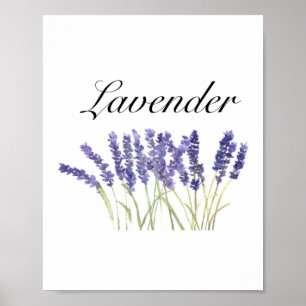 Poster Flores de lavanda aquarela ervas roxo chique