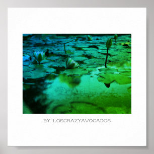 Poster Flores De Lily De Água Rosa Estilizadas Flores De 