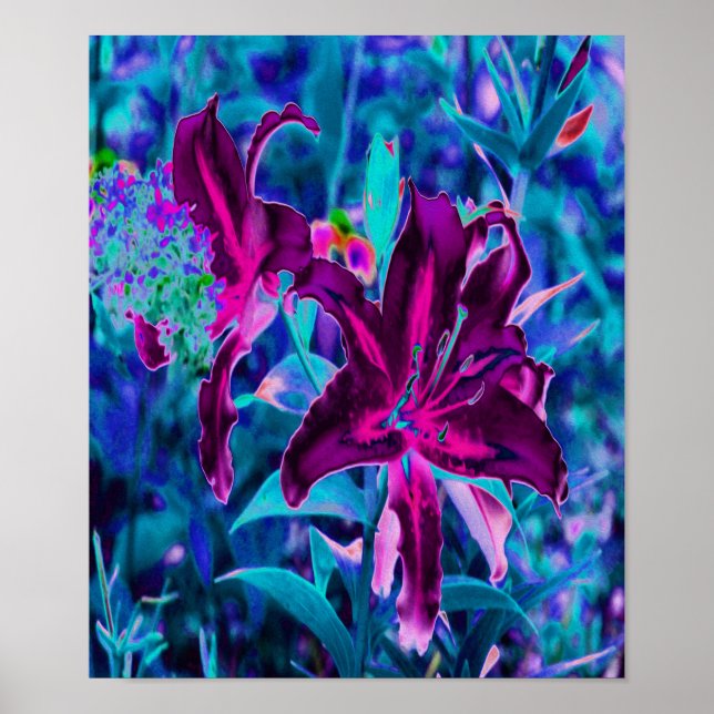 Poster Flores de Lírio Oriental Abstratas Roxas e Rosa Qu (Frente)