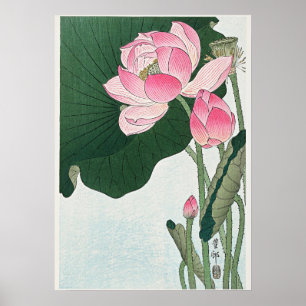 Poster Flores de Lotus Blooming por Ohara Koson