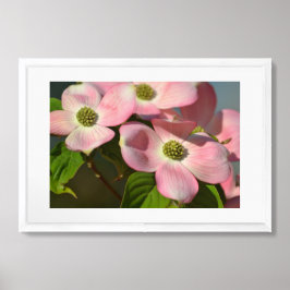 Poster Flores de madeira rosa