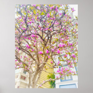 Poster Flores de Magnólia 