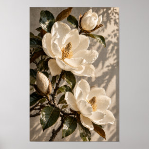 Poster Flores de Magnólia Brancas em Luz Natural Morna na
