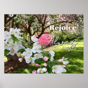 Poster Flores de Maio Rosa Alegrem-se Sempre