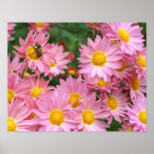 Poster Flores De Margarida Rosa E Abelhas De Mãozinho