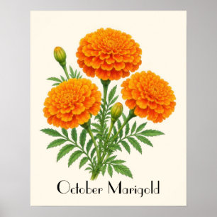 Poster Flores de Marigold de Outubro