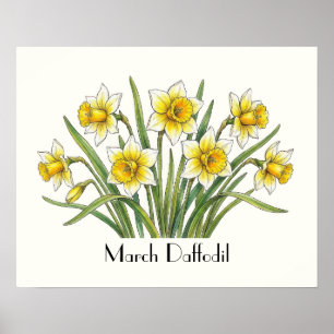 Poster Flores de Narciso de Março