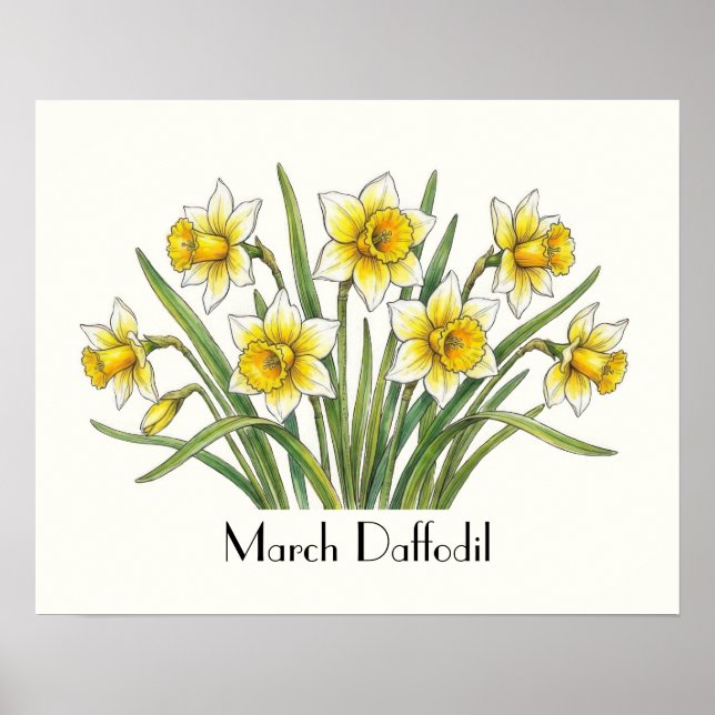 Poster Flores de Narciso de Março (Frente)