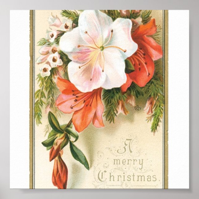 Pôster Flores de Natal (Frente)