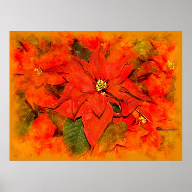Poster Flores de Natal (Frente)